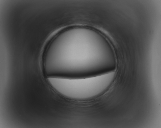 X0000100401319200806060846
