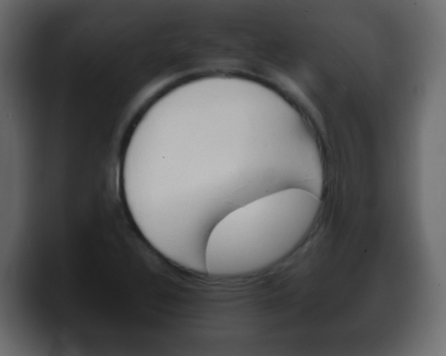 X0000100401320200806060846
