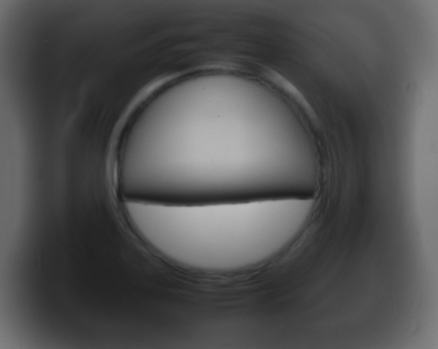 X0000100401323200806060846