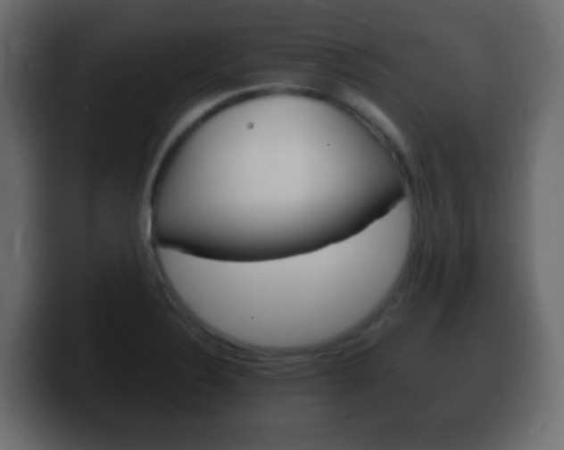 X0000100401324200806060846