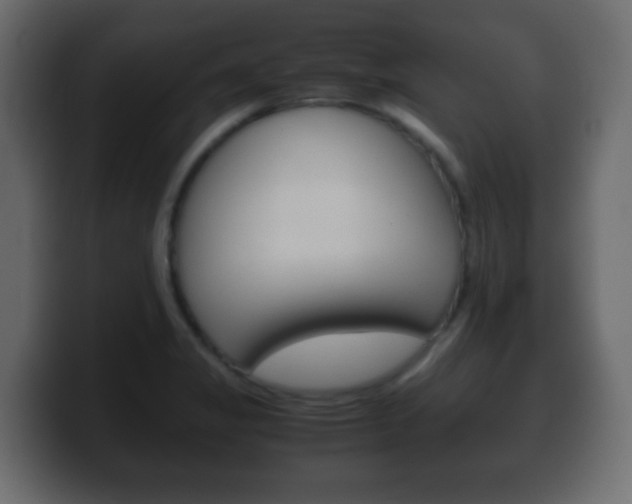 X0000100401325200806060846