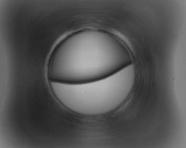 X0000100401326200806060846