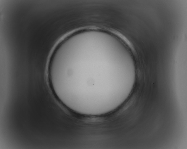 X0000100401327200806060846