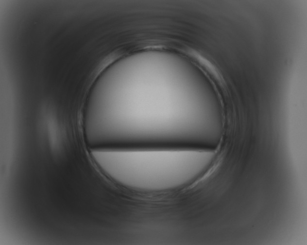 X0000100401329200806060846