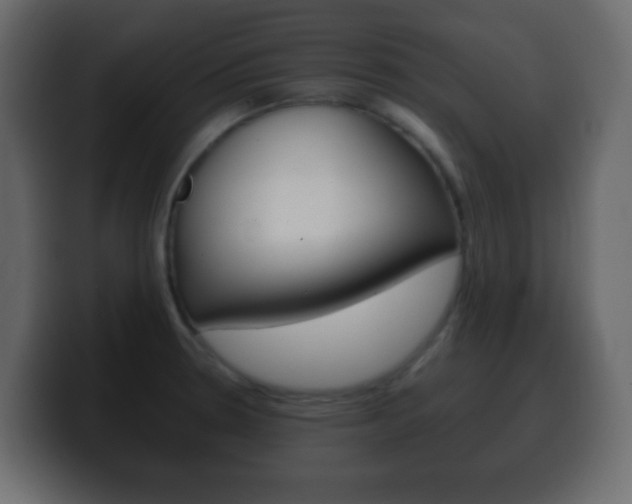 X0000100401330200806060846