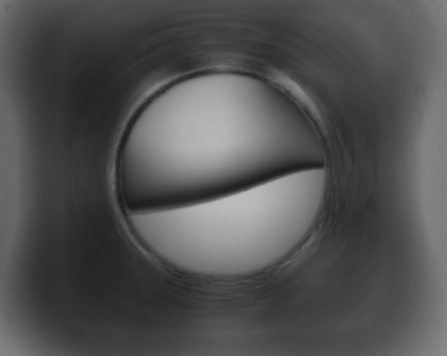X0000100401331200806060846