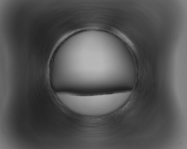 X0000100401332200806060846
