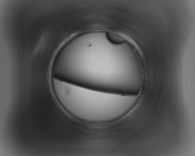 X0000100401333200806060846