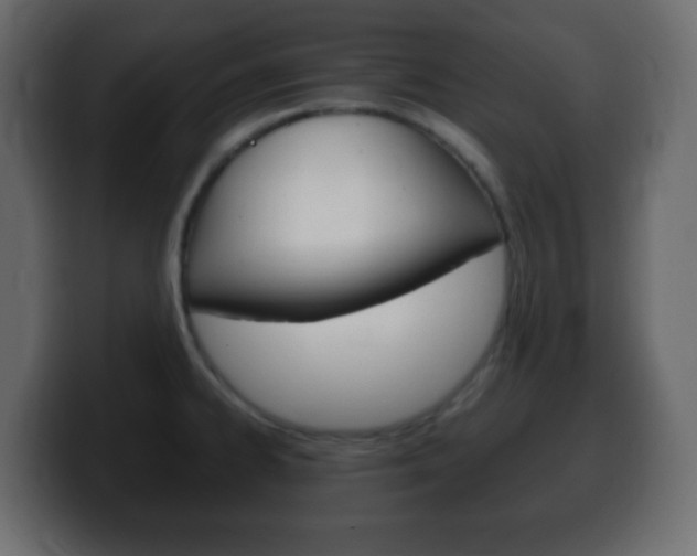 X0000100401334200806060846