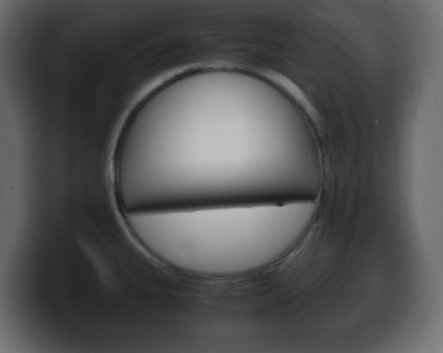 X0000100401335200806060846
