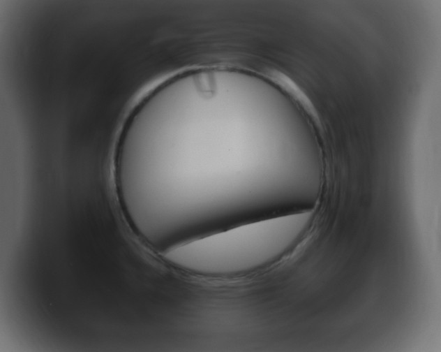 X0000100401336200806060846