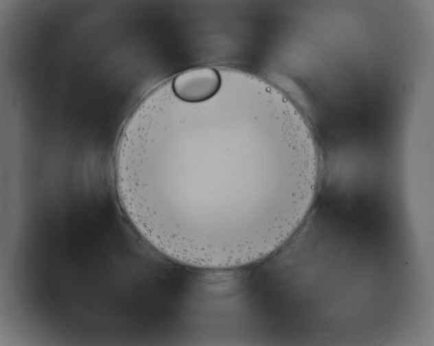 X0000100401338200806060846