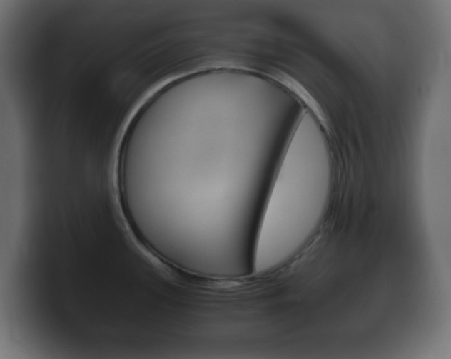 X0000100401339200806060846