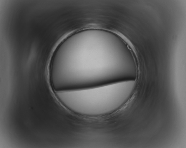 X0000100401341200806060846