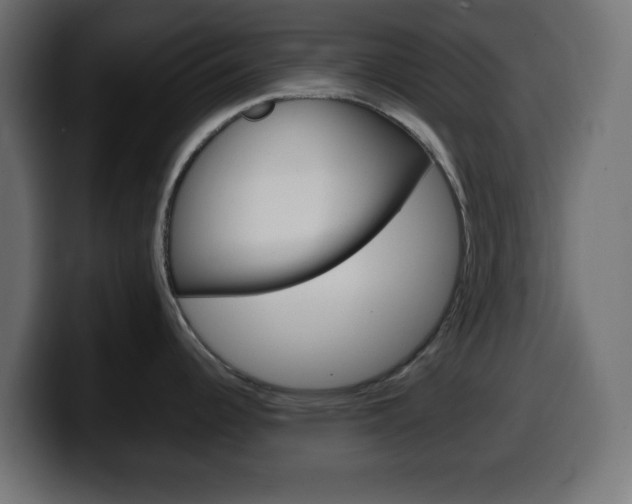 X0000100401344200806060846