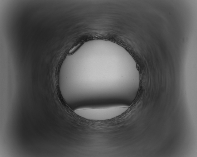 X0000100401345200806060846