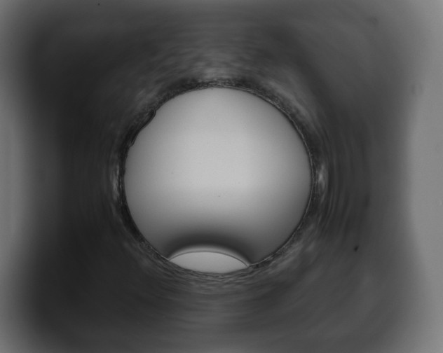 X0000100401348200806060846