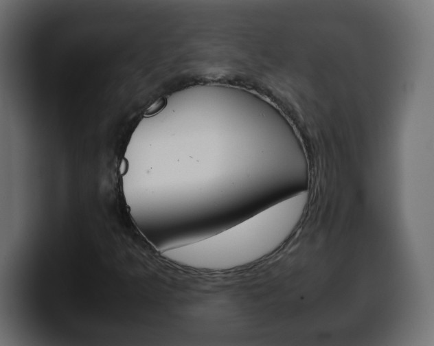 X0000100401349200806060846