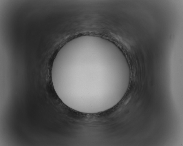 X0000100401350200806060846