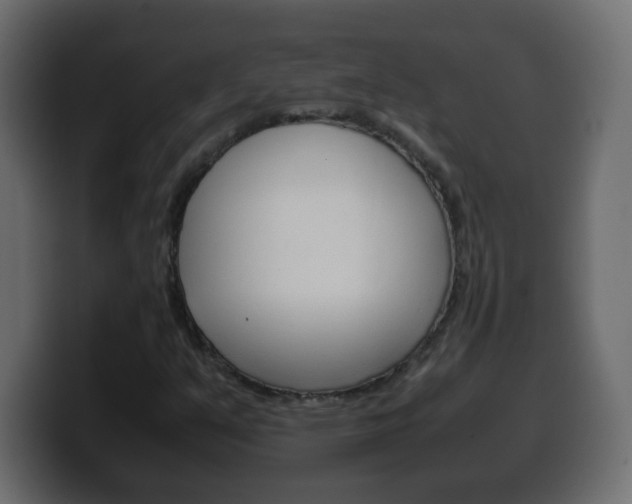 X0000100401351200806060846
