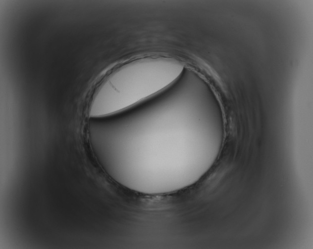 X0000100401352200806060846
