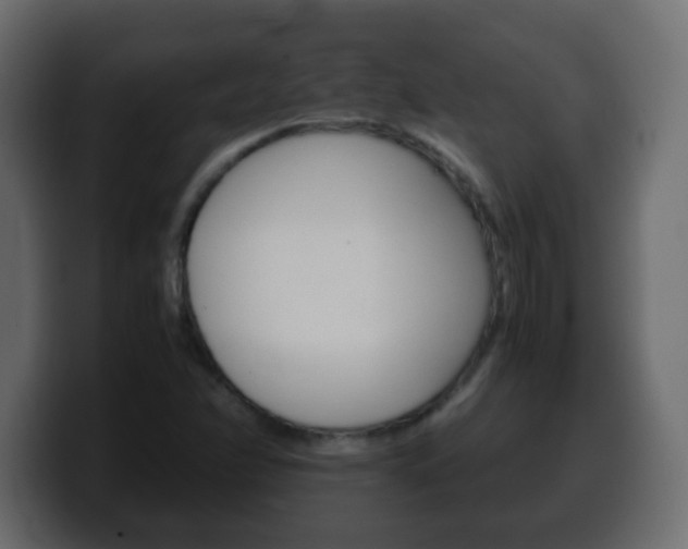 X0000100401358200806060845