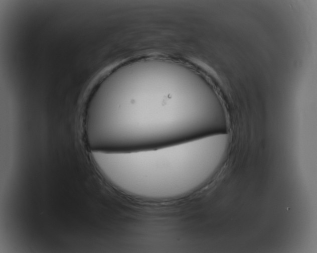 X0000100401359200806060845
