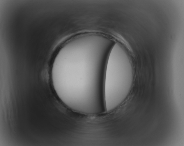 X0000100401360200806060845