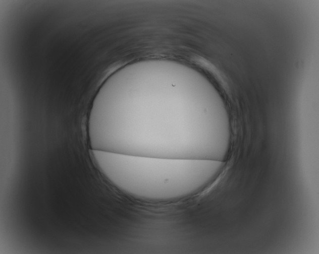 X0000100401361200806060845