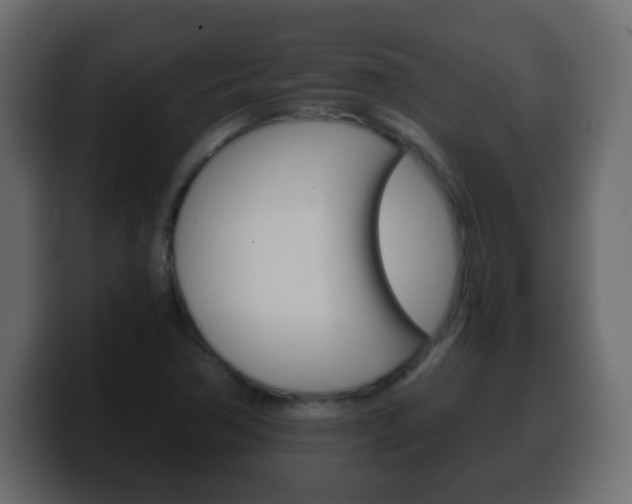 X0000100401362200806060845