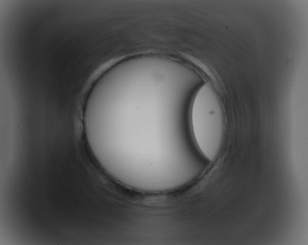 X0000100401363200806060845