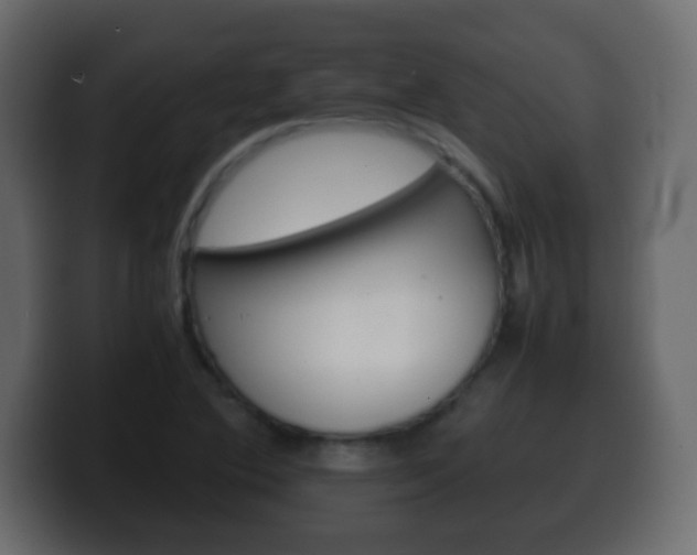 X0000100401364200806060845