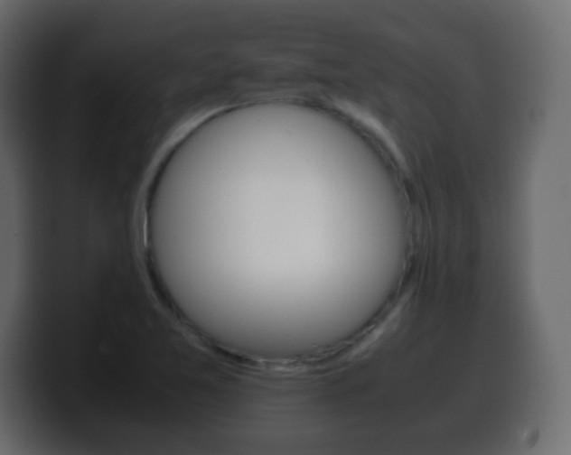 X0000100401365200806060845
