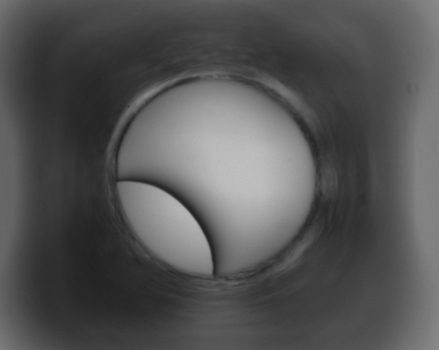 X0000100401366200806060845