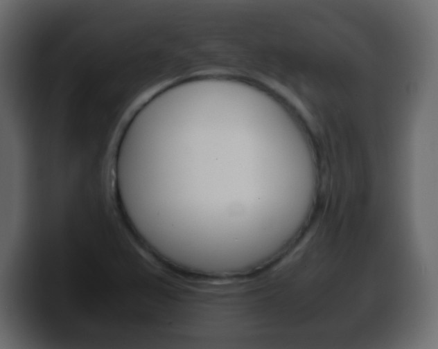 X0000100401367200806060845