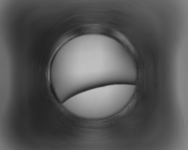 X0000100401370200806060845