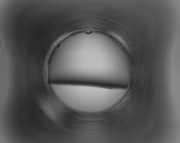 X0000100401371200806060845