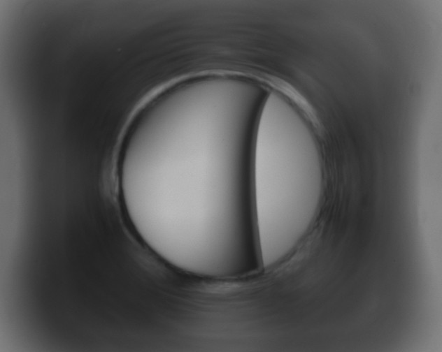 X0000100401372200806060845