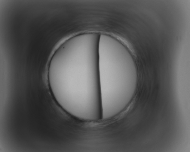 X0000100401374200806060845