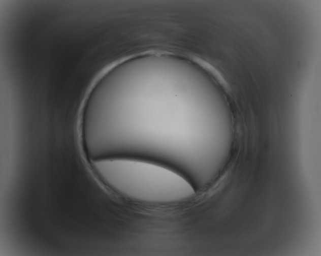 X0000100401375200806060845