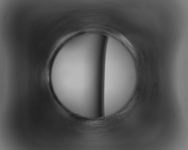 X0000100401376200806060845