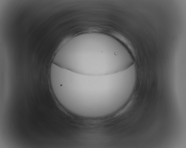 X0000100401377200806060845
