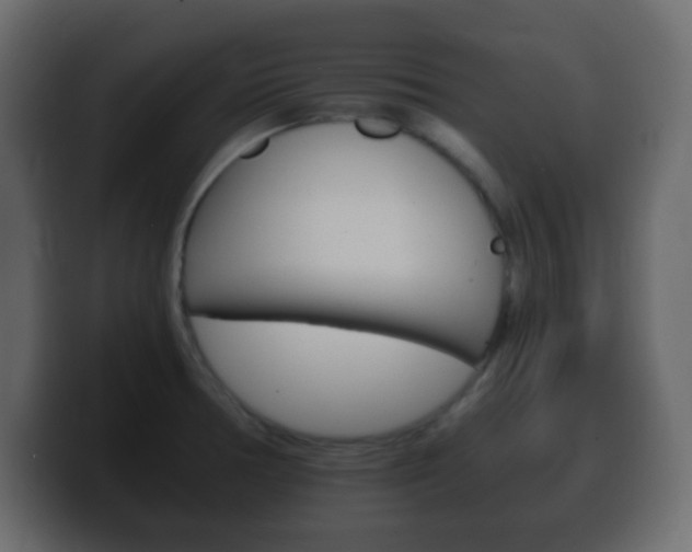 X0000100401378200806060845