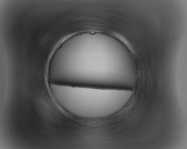 X0000100401379200806060845