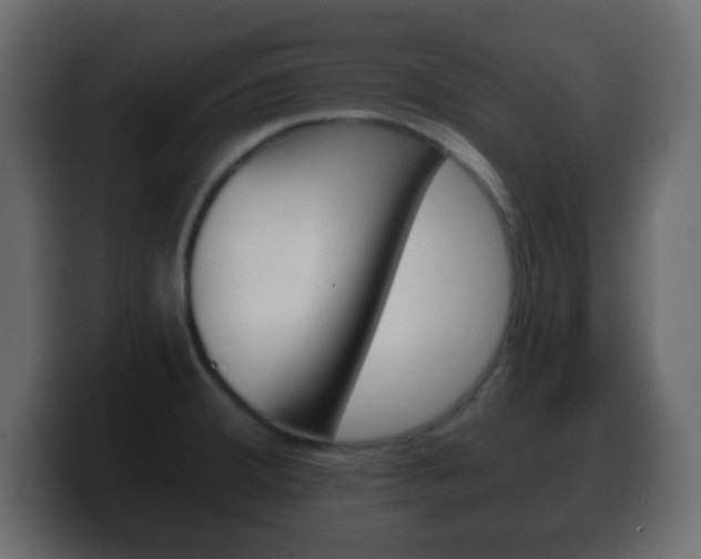 X0000100401380200806060845