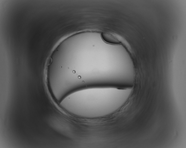 X0000100401383200806060845