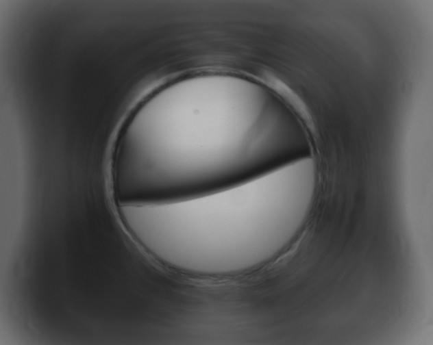 X0000100401384200806060845