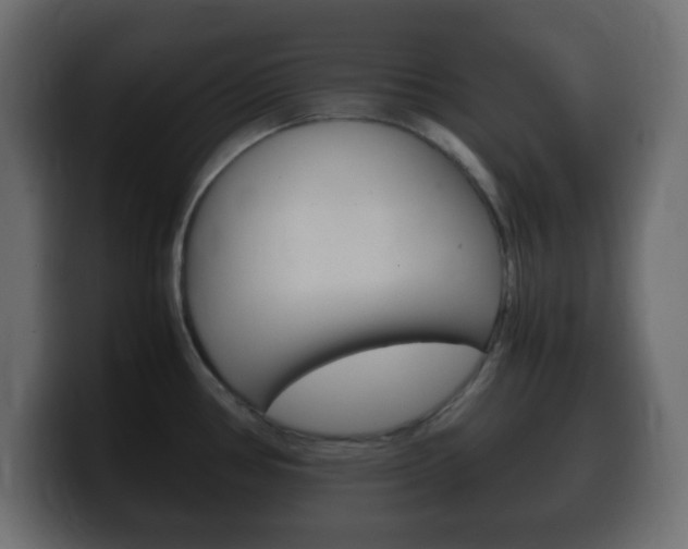 X0000100401386200806060845
