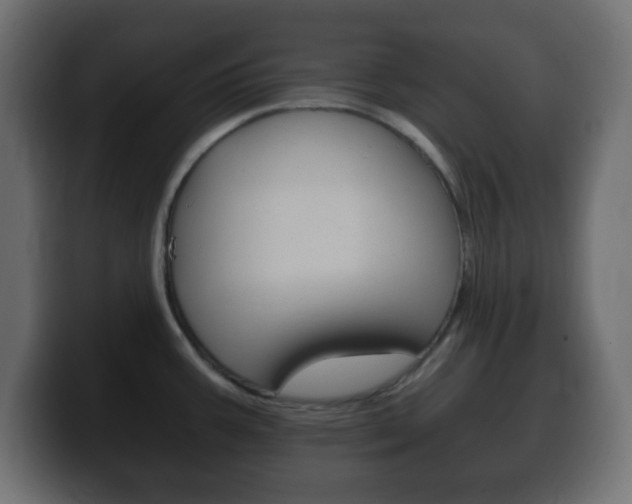 X0000100401387200806060845