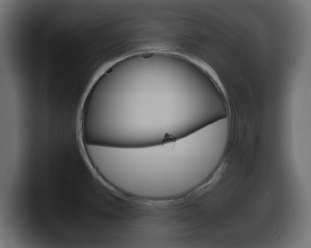 X0000100401389200806060845